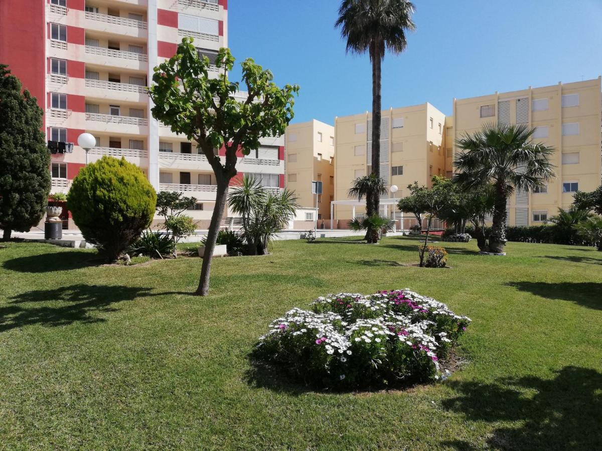 Don Ximo Solo Familia Serviplaya Playa de Gandia